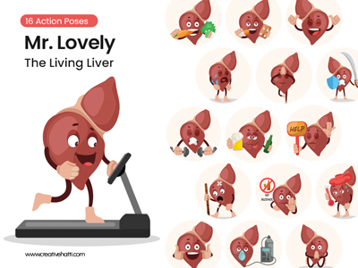 Mr. Lovely – The Living Liver Vector Bundle