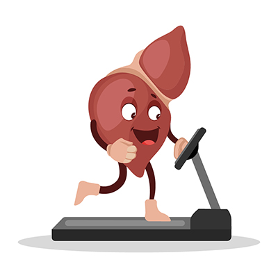 Liver is walking on a treadmill