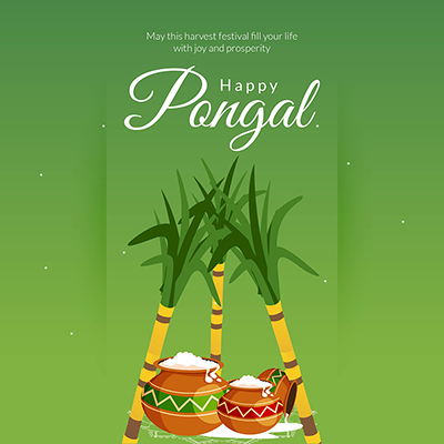 Banner template with a happy pongal festival