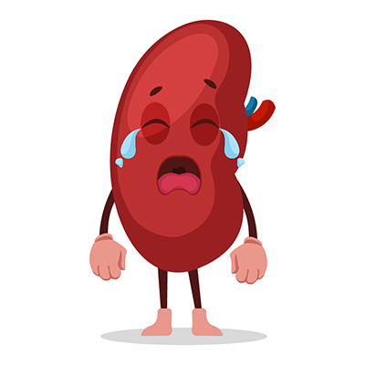 Kidney is crying loudly Kidney is crying loudly