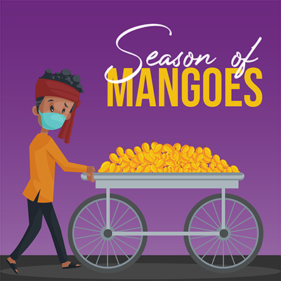 Season of mangoes banner template
