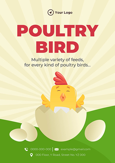 Flyer template of poultry bird multiple variety of feeds