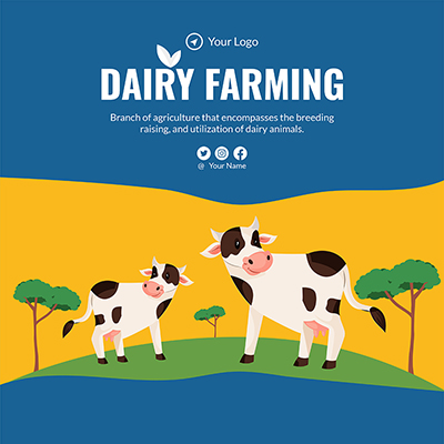 Template banner of a dairy farming