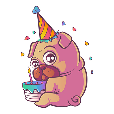 Cute pug dog holding cake and wearing birthday cap