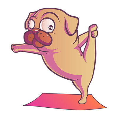 Cute pug dog holding its leg and exercising