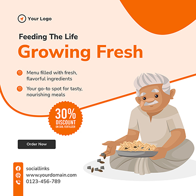 Growing fresh vegetables banner template