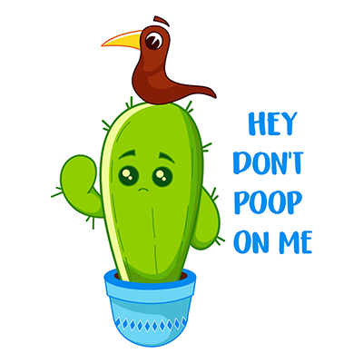 Cactus plant illustration getting angry at the bird