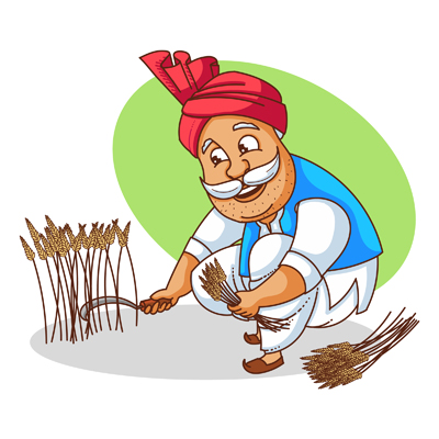 Haryanvi man working on his farm