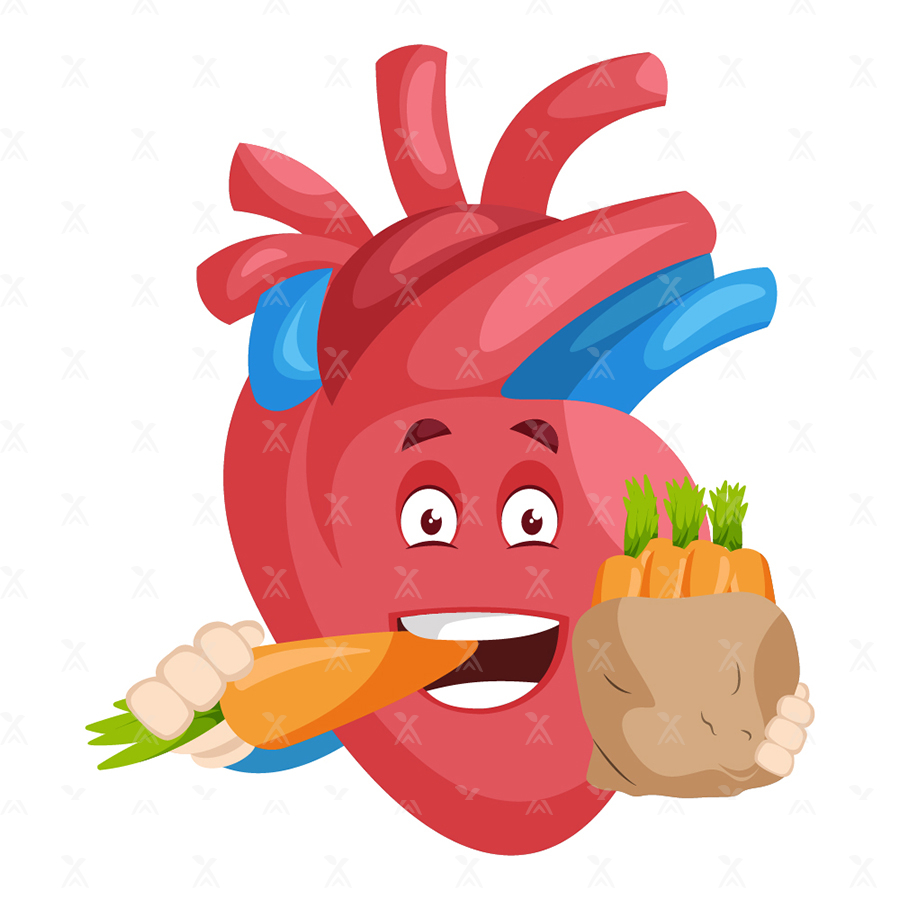 Cartoon illustration of heart is eating healthy food Cartoon illustration of heart is eating healthy food