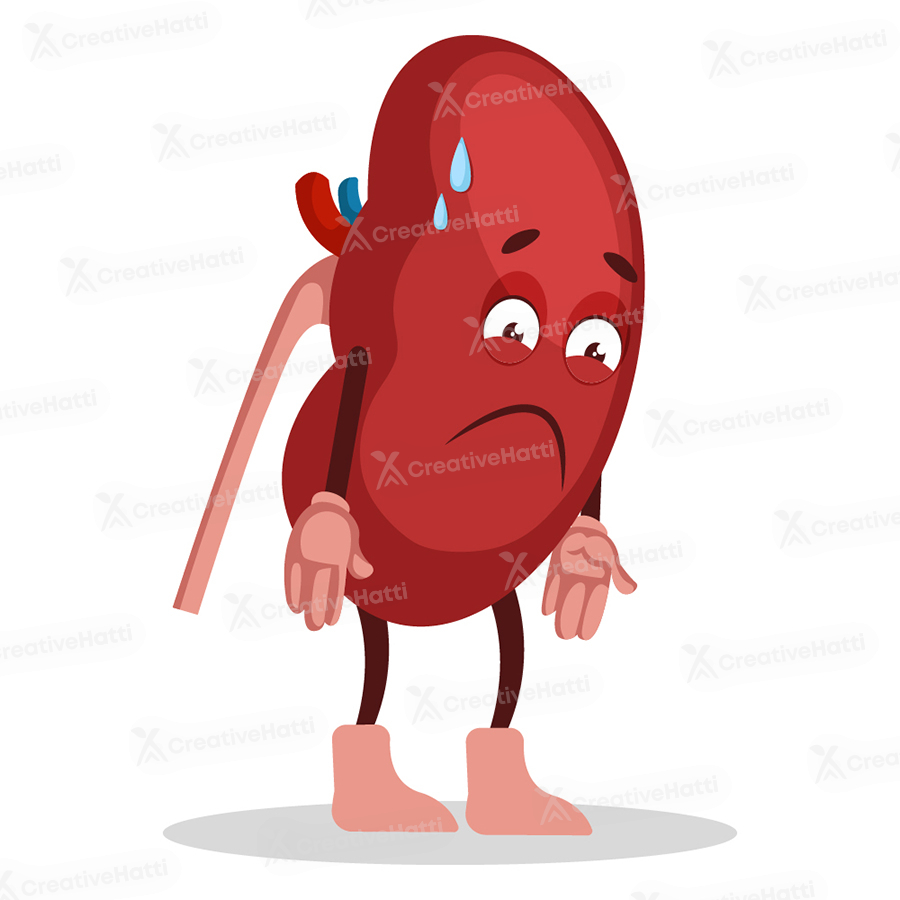 Illustration of a kidney is tired Illustration of a kidney is tired